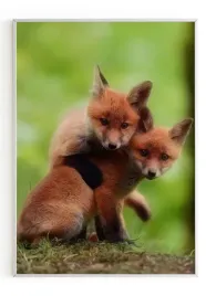 plakat-bez-ramy-a5-13x18-m2p-lis-05