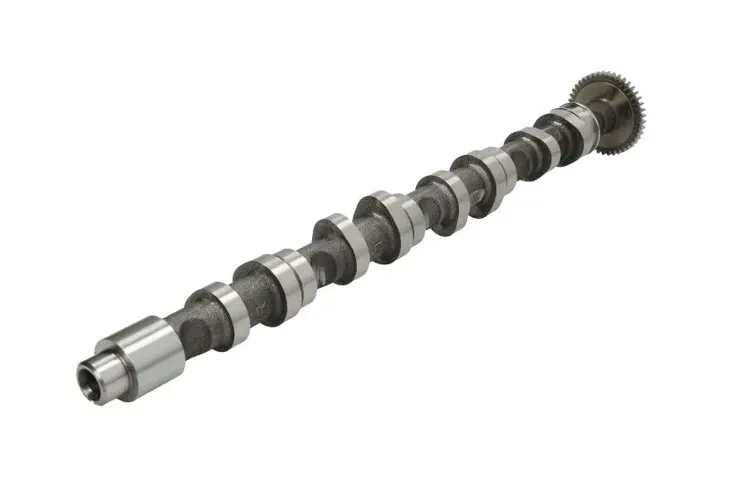 walek-rozrzadu-kolbenschmidt-50007022-producent-czesci-kolbenschmidt