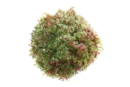 kula-dekoracyjna-rosliny-bombki-ksztaltki-10-cm-1-szt