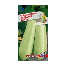 nasiona-dyni-dynia-zwyczajna-kveta-kabaczek-2g