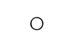 129963-o-ring-case-new-holland-oryginal-cnh