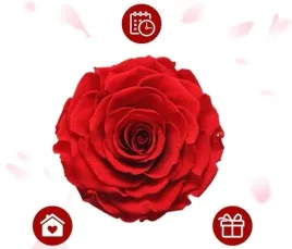 wieczna-roza-w-szkatulce-pudelko-prezent-walentynki-naszyjnik-i-love-you