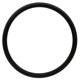 oring-pierscien-pompy-p-120-biardzki-do-opryskiwacza