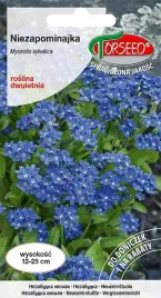 nasiona-niezapominajka-niebieska-05g-torseed