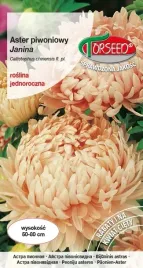nasiona-aster-wysoki-piwoniowy-lososioworozowy-torseed