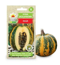 dynia-zwyczajna-olbrzymia-olga-bezlupinowa-2g-nasiona