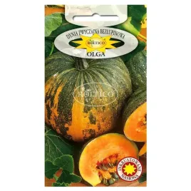 dynia-zwyczajna-bezlupinowa-olga-nasiona-3-g