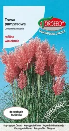 nasiona-trawa-pampasowa-rozowa-01g-torseed-trawa-ozdobna