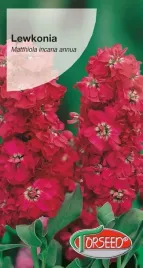 nasiona-lewkonia-letnia-excelsior-wisniowoamarantowa-torseed