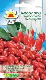 jagody-goji-kolcowoj-szkarlatny-najzdrowsze-owoce-nasiona-goja