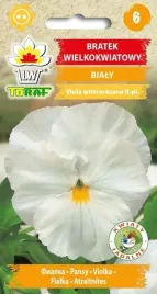 bratek-wielkokwiatowy-bialy-02g-t