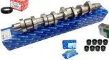 walek-rozrzadu-kolbenschmidt-50006304-numer-katalogowy-oryginalu-ford-1100669