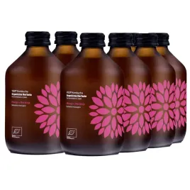 kombucha-mango-marakuja-vigo-bio-330-ml-x-8-sztuk