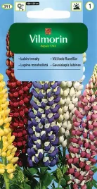 lubin-trwaly-mix-kolorow-mieszanka-kwiatow-nasiona-kwiaty-lubinu-vilmorin