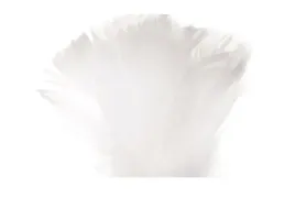 piorka-dekoracyjne-piora-ozdobne-w-torebce-biale-pioro-do-prac-kreatywnych