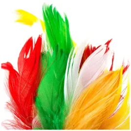 piorka-w-torebce-mix-kolorow-do-dekoracji-ozdobne-puch-piora-ozdoba