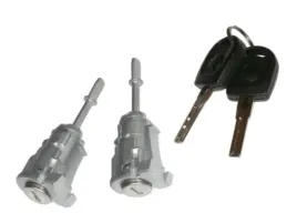 wkladki-drzwi-wkladka-lewa-prawa-skoda-fabia-i-1