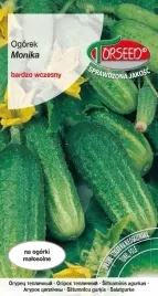 nasiona-ogorek-gruntowy-konserwowy-monika-1g-torseed-duze-opakowanie