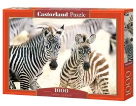 puzzle-1000-young-zebras-castor-castorland