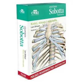 anatomia-sobotta-flashcards-lars-brauer-7-kosci-stawy-wiezadla