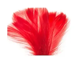 piorka-dekoracyjne-pioro-piora-do-prac-kreatywnych-piora-ozdobne-w-torebce