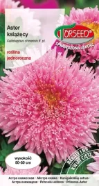 nasiona-aster-wysoki-ksiazecy-rozowy-05g-torseed-astry