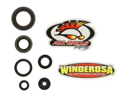 winderosa-vertex-komplet-zestaw-uszczelniaczy-silnikowych-ktm-sx-65-09