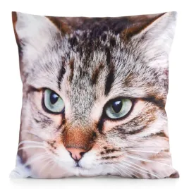 poszewka-dekoracyjna-animal-67-45x45-kotek-welwet-nadruk