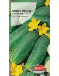 nasiona-ogorek-gruntowy-salatkowy-delikatess-5g-torseed