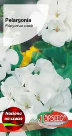 nasiona-pelargonia-biala-f1-10szt-torseed-pelargonie