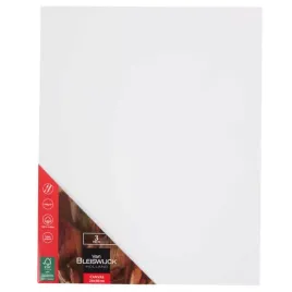 plotno-malarskie-van-bleiswijck-3-szt-24x30-podobrazie-zestaw