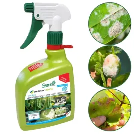amistar-250-sc-1l-na-choroby-grzybowe-w-trawniku-ochrona-roslin-maczniak