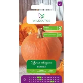 legutko-nasiona-tradycyjne-dynia-olbrzymia-bambino-4g