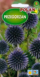 przegorzan-1g-nasiona-kwiatow-polan
