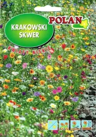nasiona-krakowski-skwer-kwiaty-niskie-20g