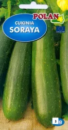 cukinia-dynia-soraya-3g-polan-nasiona-warzyw