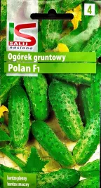 ogorek-polan-5g-nasiona-ogorka-salnas