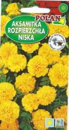 aksamitka-niska-pelna-zolta-1g-nasiona-kwiatow