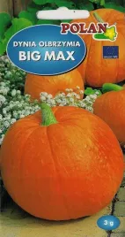 dynia-olbrzymia-big-max-3g-nasiona-warzyw