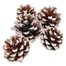 szyszki-sosnowe-ozdoby-swiateczne-na-stroik-bozonarodzeniowy-5szt-osniezone