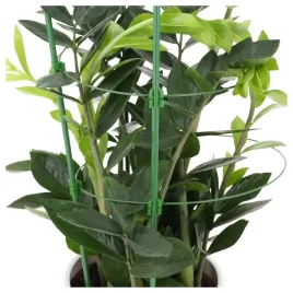 podporka-do-kwiatow-roslin-solidna-podpora-pierscieniowa-mocna-zielona-60cm