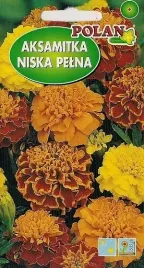 aksamitka-rozpierzchla-niska-1g-nasiona-kwiatow-polan