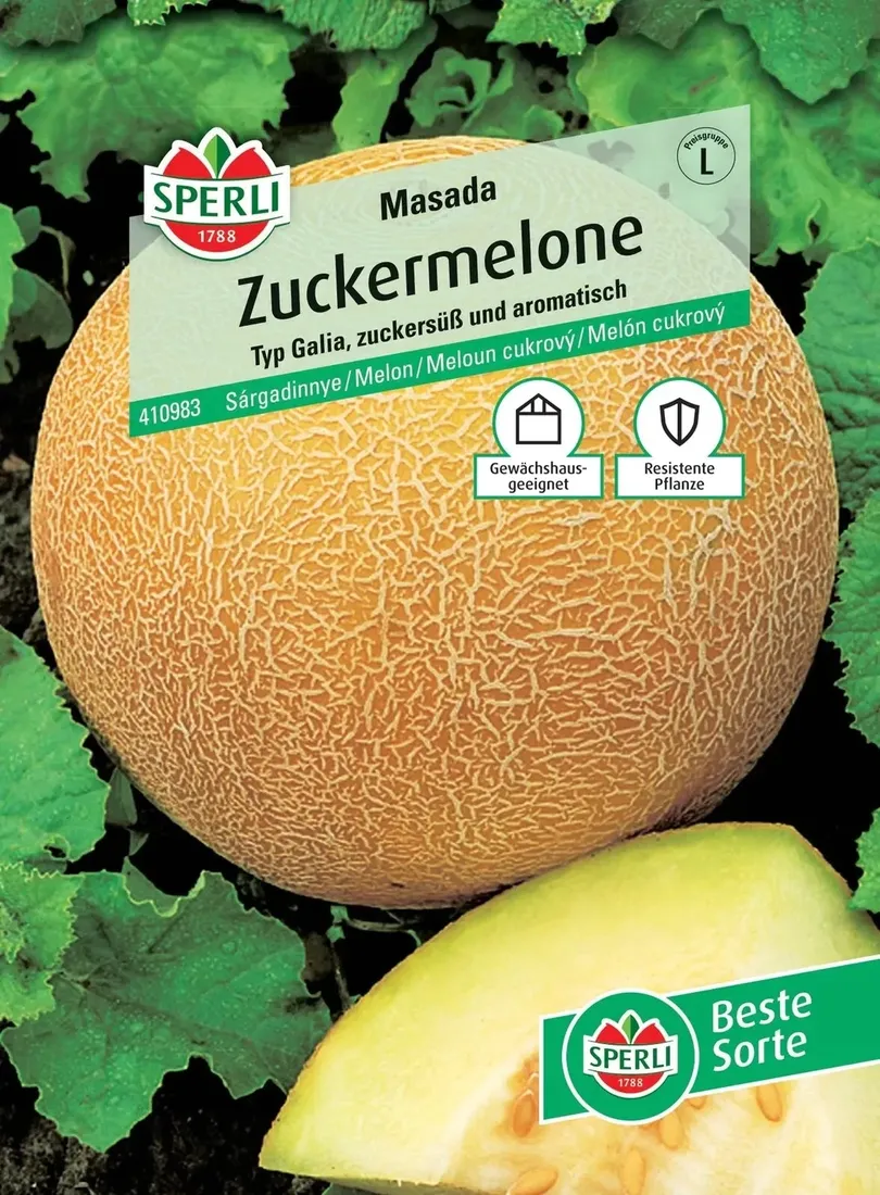 melon-masada-nasiona-premium-sperli