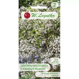 legutko-nasiona-tradycyjne-gipsowka-wiechowata-biala-02g