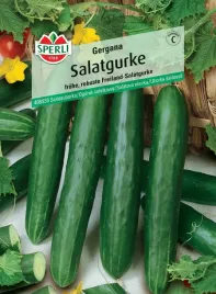 ogorek-salatkowy-gergana-nasiona-premium-sperli