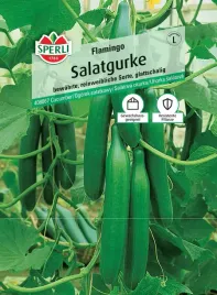ogorek-salatkowy-flamingo-nasiona-premium-sperli