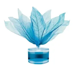 odswiezacz-powietrza-kwiatek-night-sapphire-prezent-uniwersalny