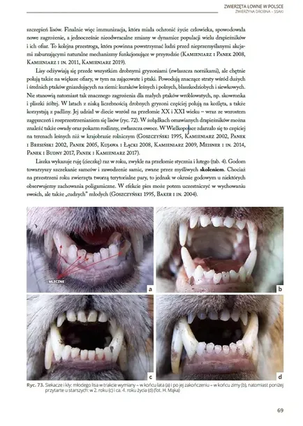 ksiazka-podstawy-lowiectwa-robert-kam-stan-opakowania-oryginalne