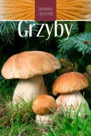 ksiazka-grzyby-marek-snowarski-multico