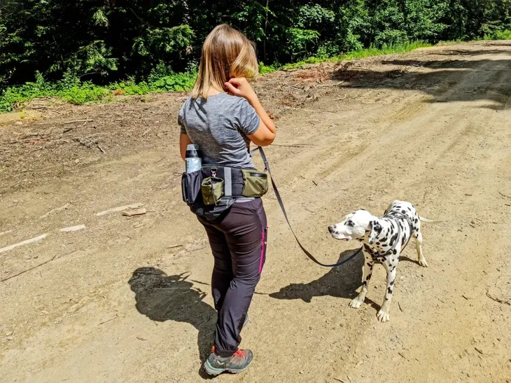 pas-trekkingowy-2trees-niebieski-kod-producenta-91c6-45414